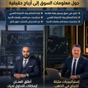 Trading Strategies